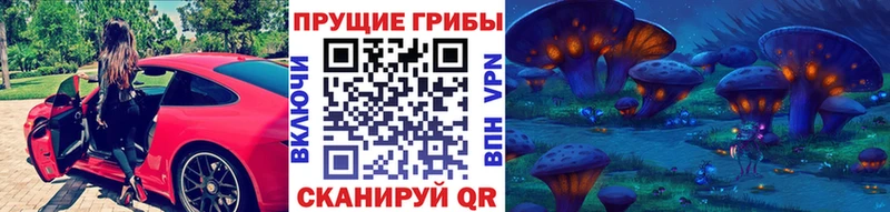 нарко площадка Telegram Ковров Псилоцибиновые грибы Psilocybe